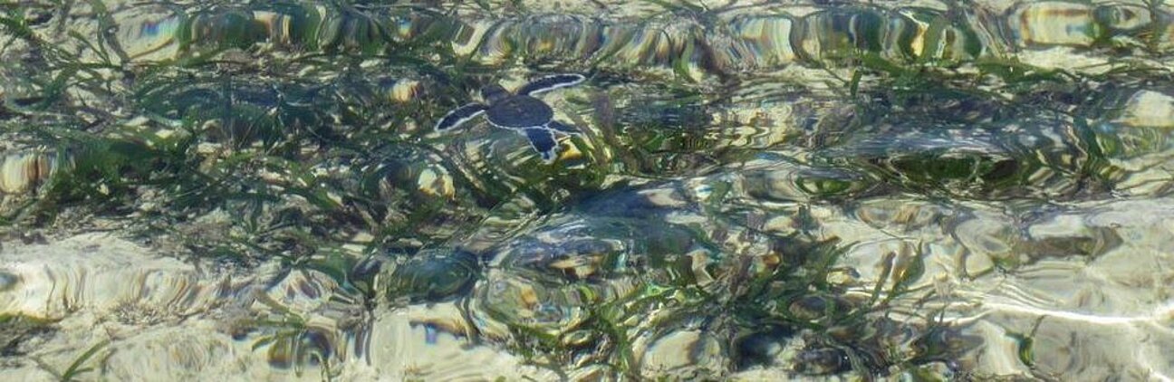 EMS_regulations_180-1