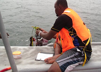 Seagrass_sampling