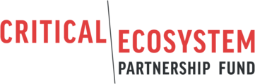 cepf-logo-medium