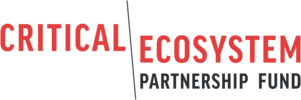 cepf-logo-medium