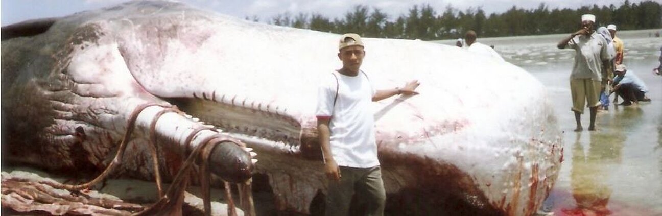 Salum_and_sperm_whale